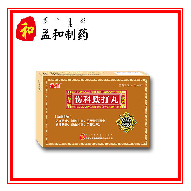 伤科跌打丸